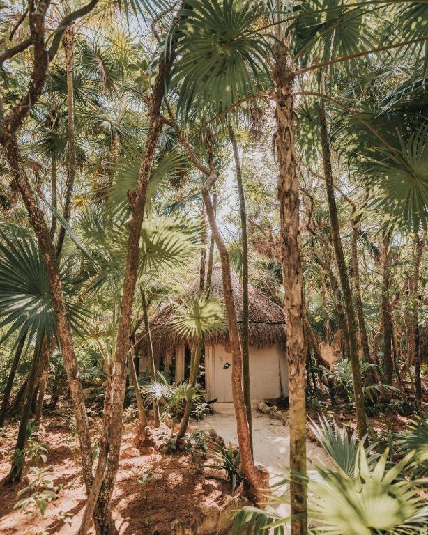 Art Village Tulum Exterior foto
